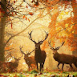 Meet your Posher, Connor